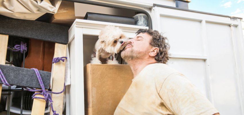 Huisdier verhuizen
